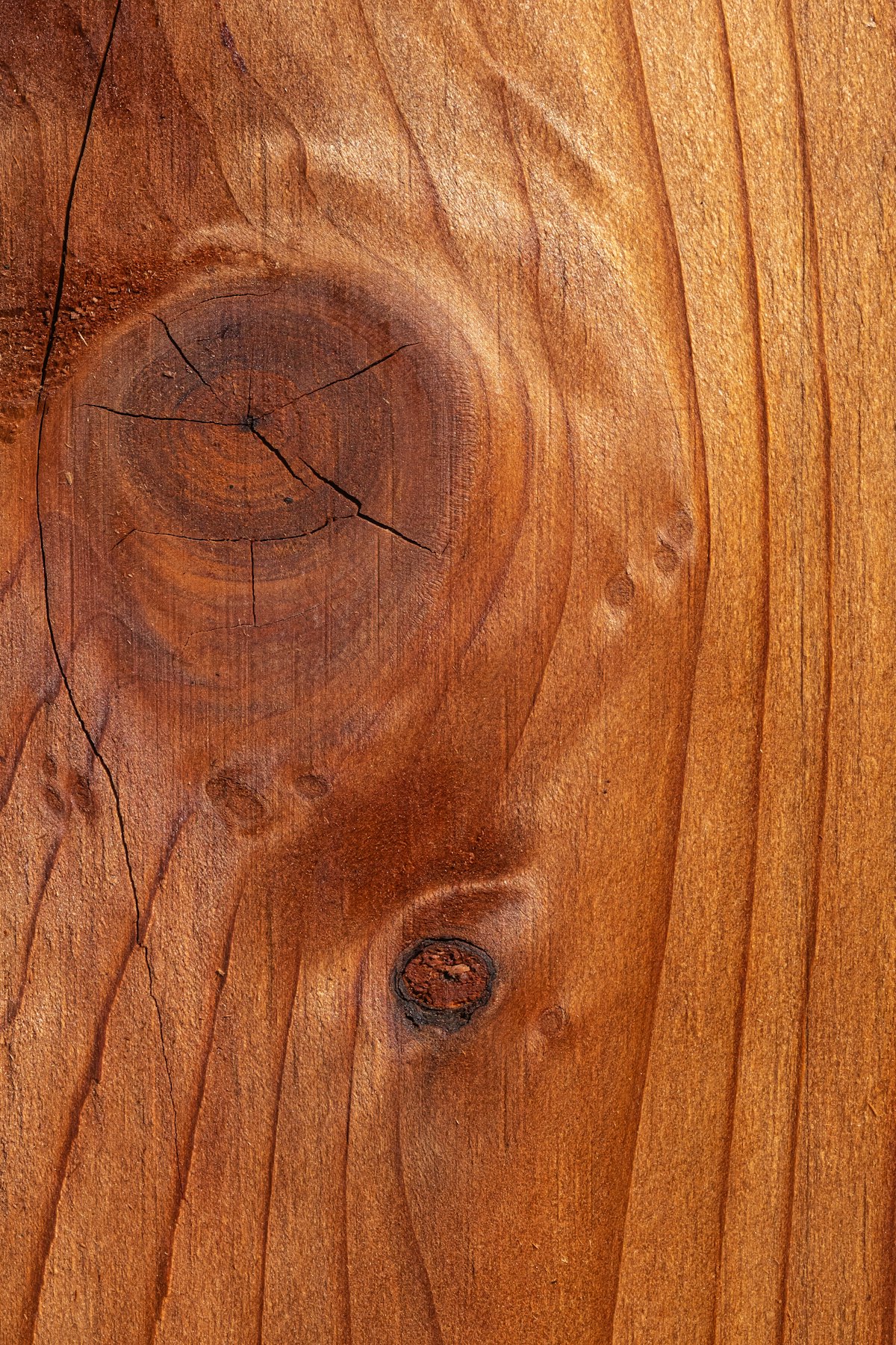 Detalle de veta de madera noble